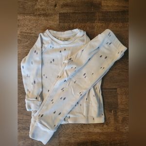Colored Organics 18 to 24 month little trees two piece jammies.
